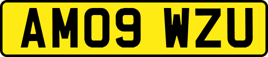 AM09WZU