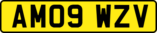 AM09WZV