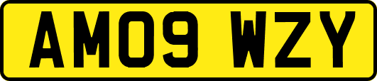 AM09WZY