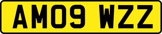 AM09WZZ