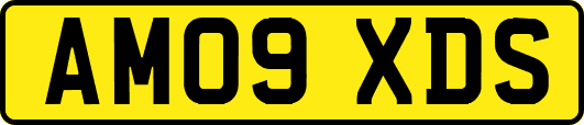 AM09XDS