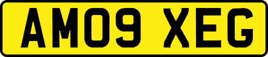 AM09XEG