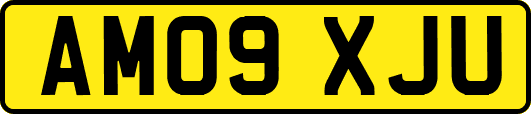 AM09XJU