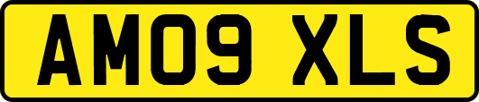 AM09XLS