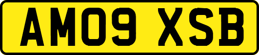 AM09XSB
