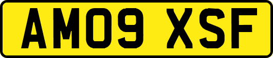 AM09XSF