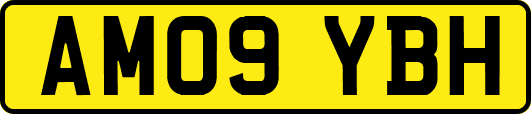 AM09YBH