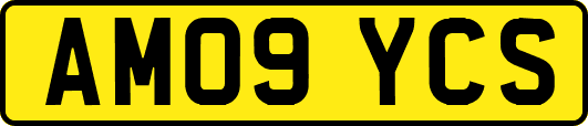 AM09YCS