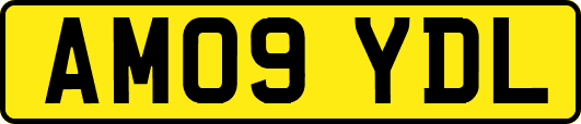 AM09YDL