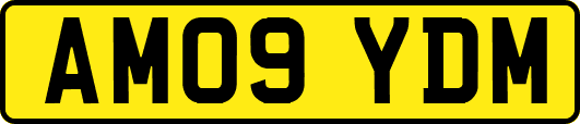 AM09YDM