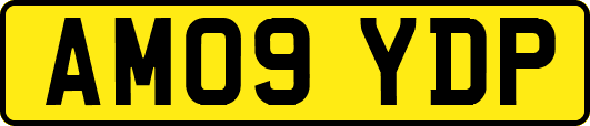 AM09YDP