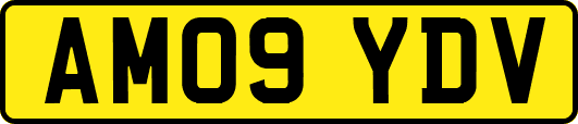 AM09YDV