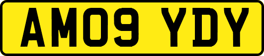 AM09YDY