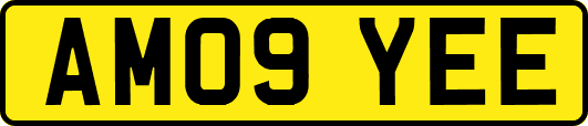 AM09YEE