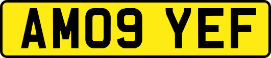 AM09YEF