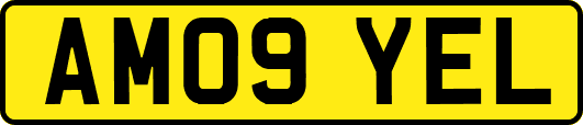 AM09YEL