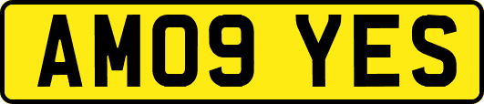 AM09YES