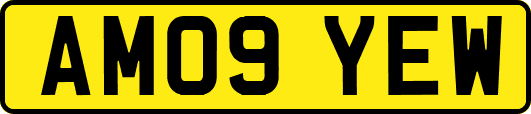 AM09YEW