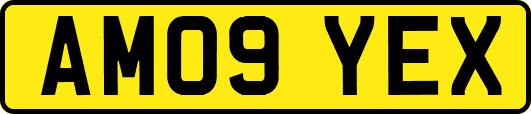 AM09YEX
