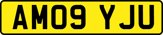 AM09YJU