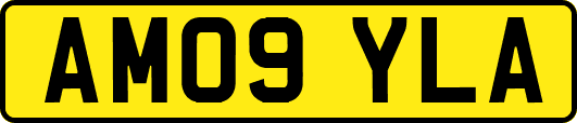 AM09YLA