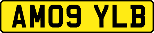 AM09YLB