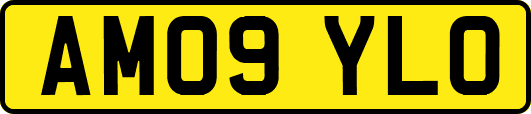 AM09YLO