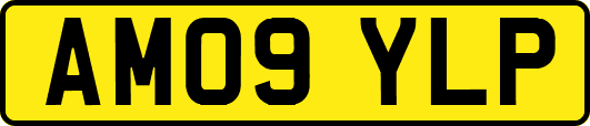 AM09YLP