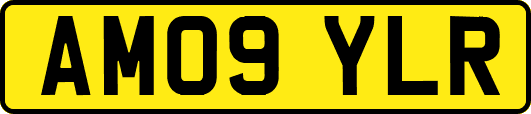 AM09YLR