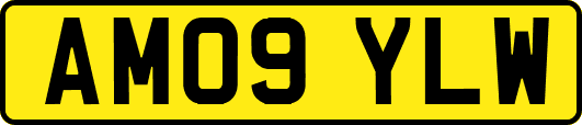 AM09YLW