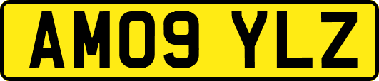 AM09YLZ