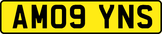 AM09YNS