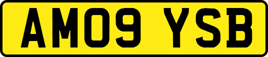 AM09YSB