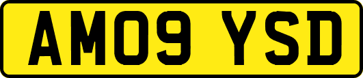 AM09YSD