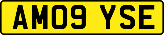 AM09YSE