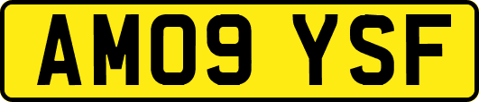 AM09YSF