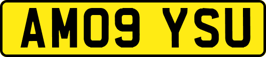 AM09YSU