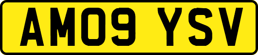 AM09YSV