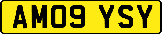 AM09YSY