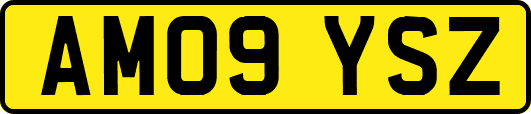 AM09YSZ
