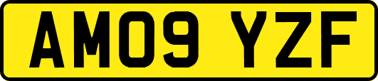 AM09YZF