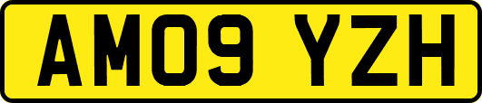 AM09YZH