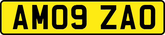 AM09ZAO