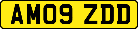 AM09ZDD