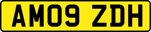 AM09ZDH