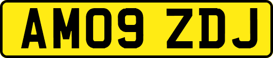 AM09ZDJ