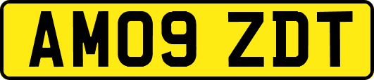 AM09ZDT