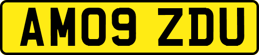 AM09ZDU