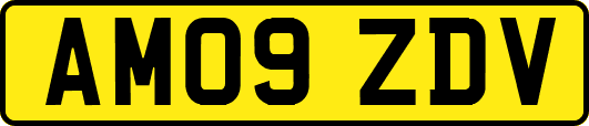 AM09ZDV