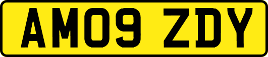 AM09ZDY